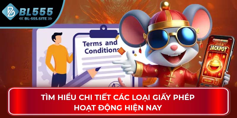 Tìm hiểu chi tiết các loại giấy phép hoạt động hiện nay